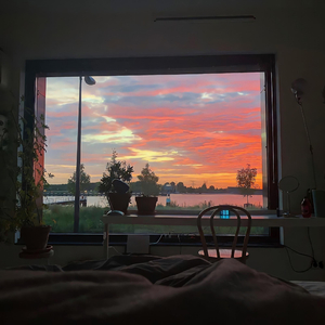 用花洒冲她尿孔play
